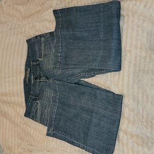 American eagle wide leg jean